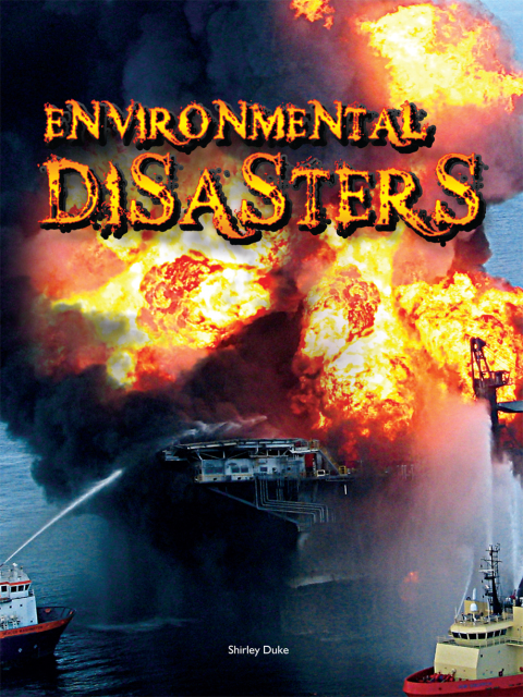 Cover image for book Environmental Disasters