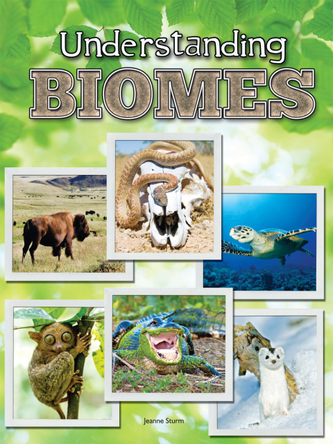 Cover image for book Understanding Biomes