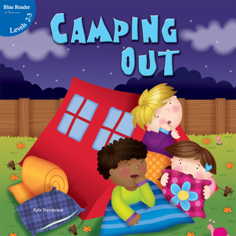 Cover image for book Camping Out