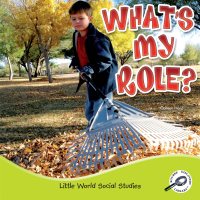 Cover image: What's My Role? 9781617419966
