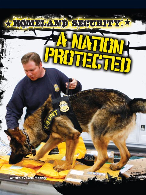 Cover image for book Homeland Security