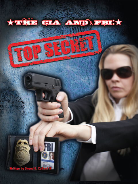 Cover image for book The CIA and FBI