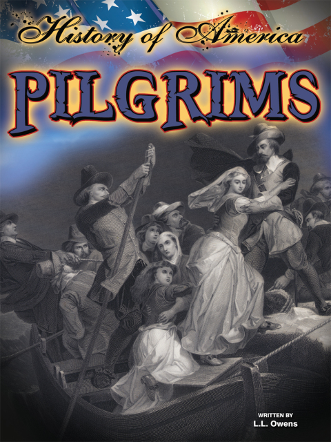 Cover image for book Pilgrims