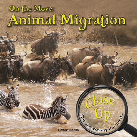 Cover image for book On the Move