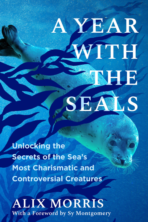 Cover image for book A Year with the Seals