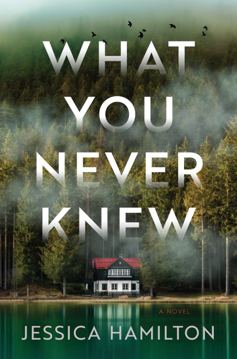 Cover image for book What You Never Knew