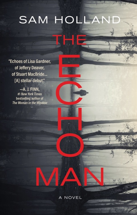 Cover image for book The Echo Man