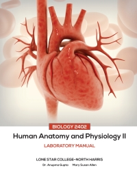 Human Anatomy & Physiology II 1st edition | 9781681352923