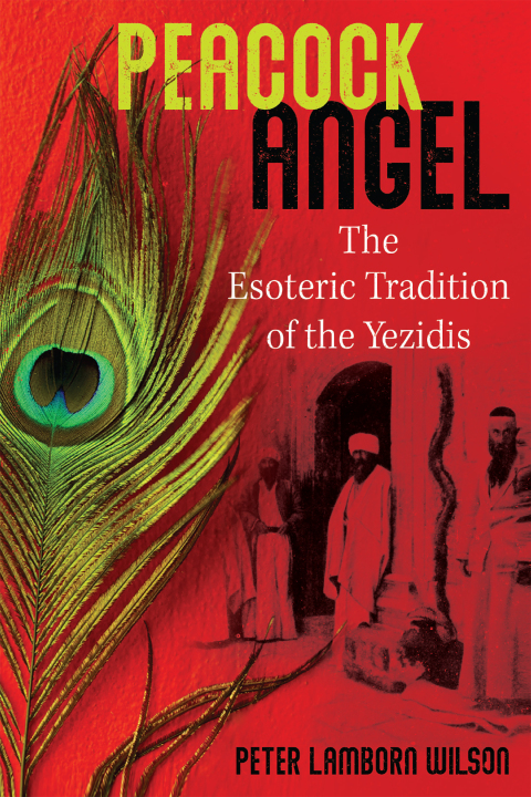 Cover image for book Peacock Angel