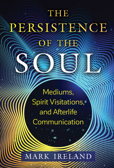 Cover image for book The Persistence of the Soul