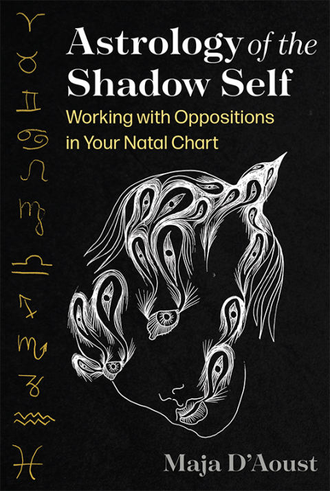 Cover image for book Astrology of the Shadow Self