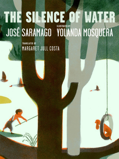 Cover image for book The Silence of Water