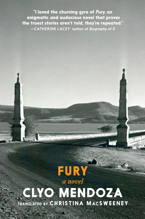 Cover image for book Fury