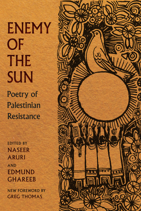 Cover image for book Enemy of the Sun