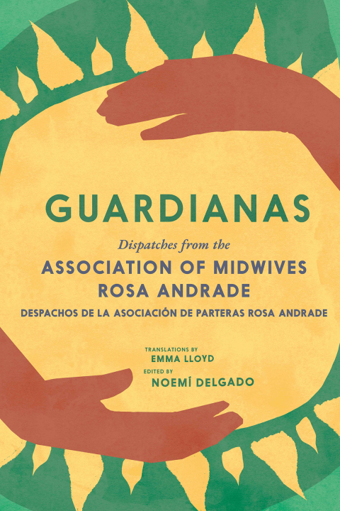 Cover image for book Guardianas