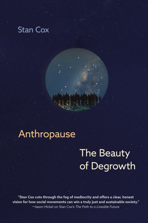 Cover image for book Anthropause