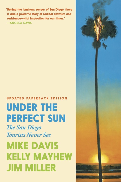 Cover image for book Under the Perfect Sun