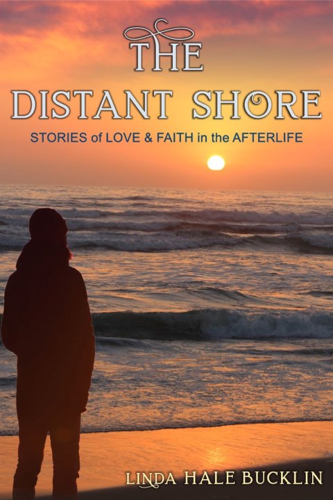 Cover image for book The Distant Shore