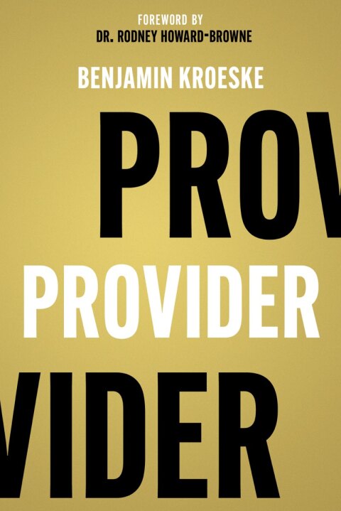 Cover image for book Provider