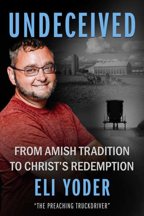 Cover image for book Undeceived