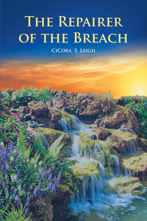 Cover image for book The Repairer of the Breach