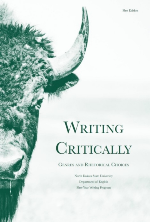 Cover image for book Writing Critically
