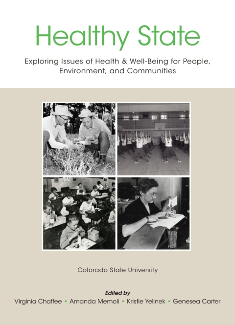 Cover image for book Healthy State: Exploring Issues of Health & Well-Being for People, Environment, and Communities