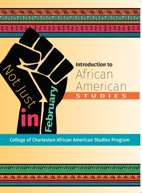 Cover image for book Not Just in February: An Introduction to African American Studies