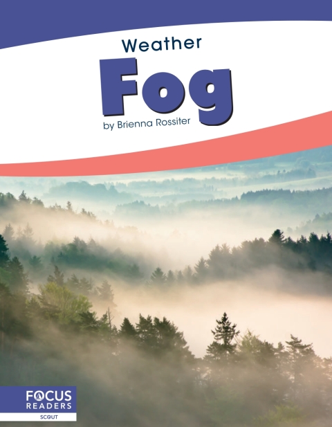 Cover image for book Fog