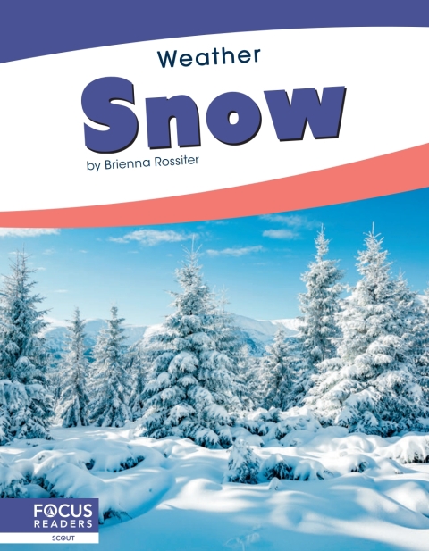 Cover image for book Snow