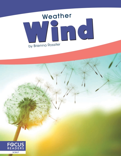 Cover image for book Wind