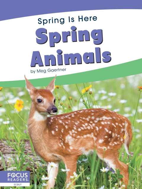 Cover image for book Spring Animals
