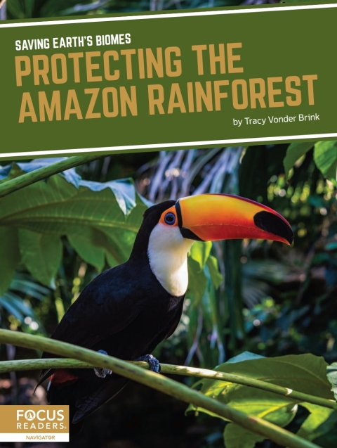 Cover image for book Protecting the Amazon Rainforest