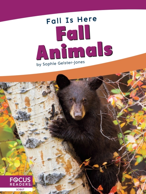Cover image for book Fall Animals