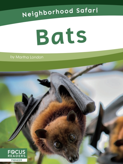 Cover image for book Bats