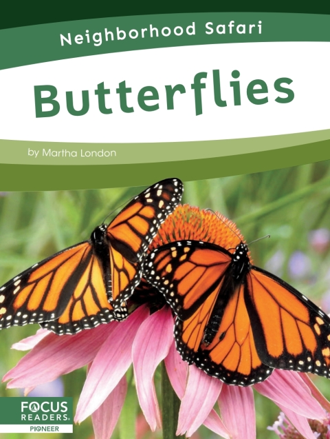 Cover image for book Butterflies