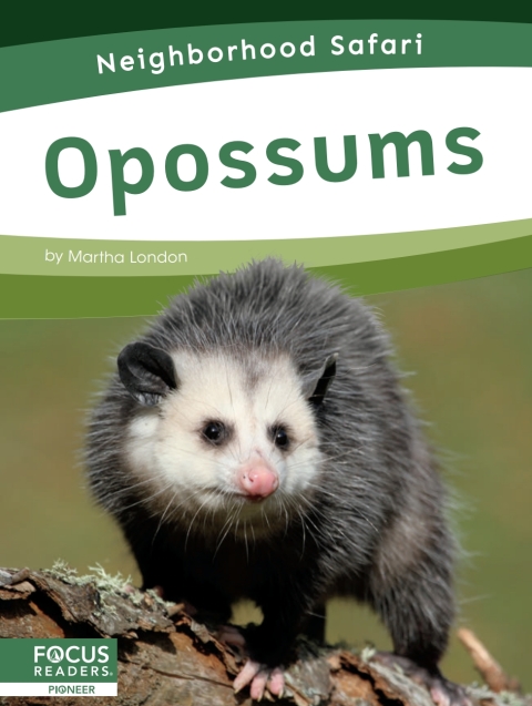 Cover image for book Opossums