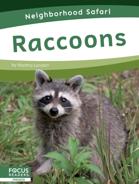 Cover image for book Raccoons