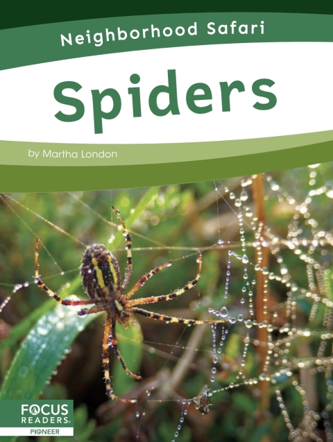 Cover image for book Spiders