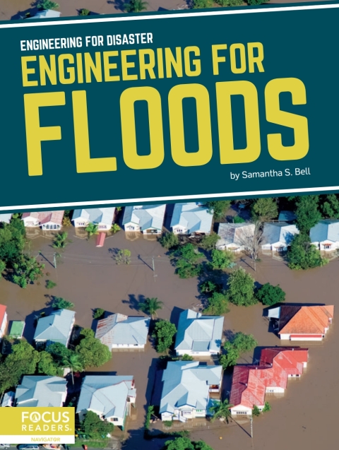 Cover image for book Engineering for Floods