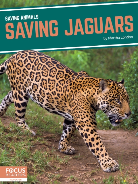 Cover image for book Saving Jaguars