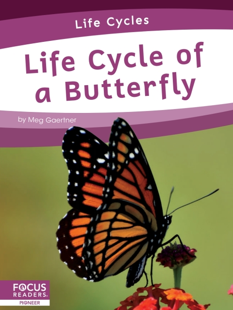 Cover image for book Life Cycle of a Butterfly