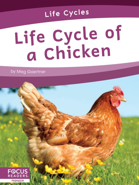 Cover image for book Life Cycle of a Chicken