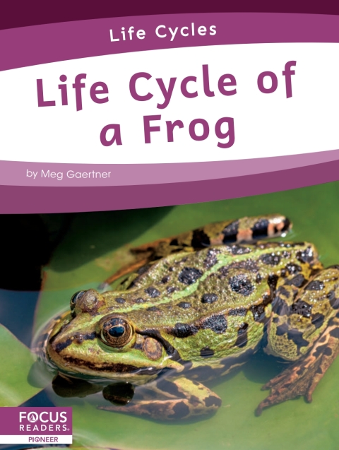 Cover image for book Life Cycle of a Frog