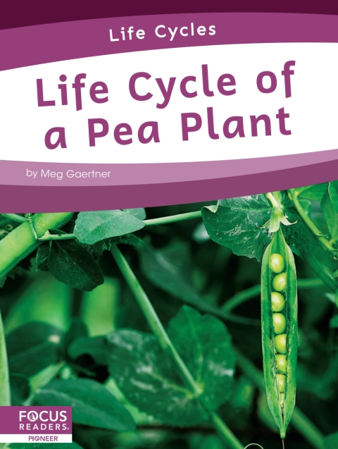 Cover image for book Life Cycle of a Pea Plant