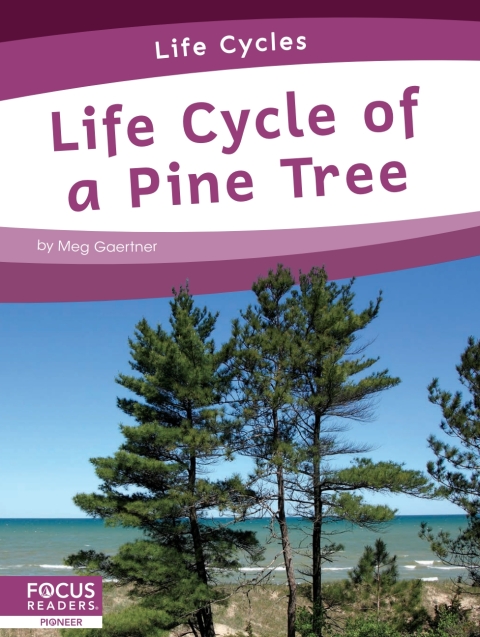 Cover image for book Life Cycle of a Pine Tree