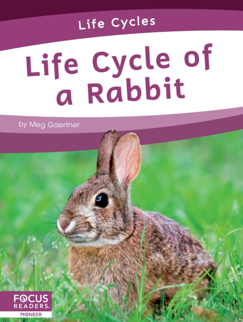 Cover image for book Life Cycle of a Rabbit