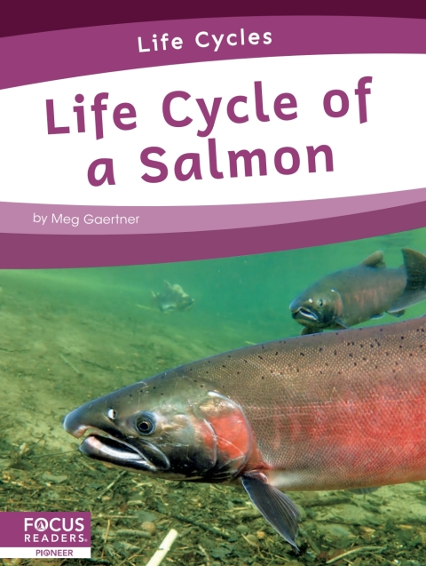 Cover image for book Life Cycle of a Salmon