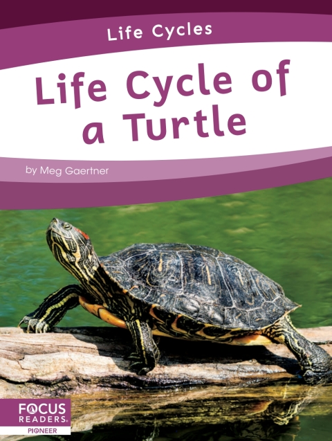 Cover image for book Life Cycle of a Turtle
