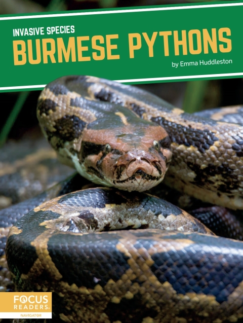 Cover image for book Burmese Pythons